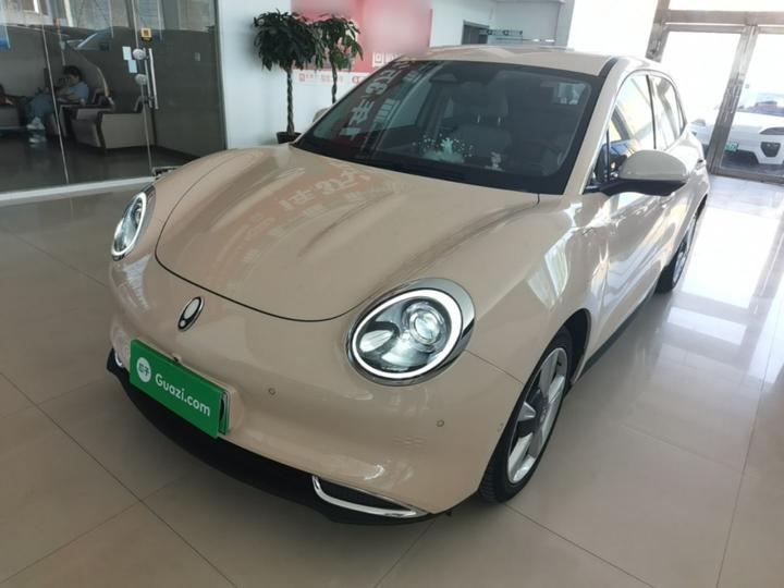 Good Cat 2021 400km Standard Range LFP