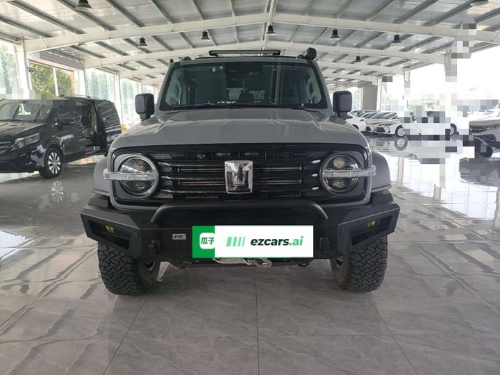 300 2021 Off-road 2.0T Conqueror photo 2