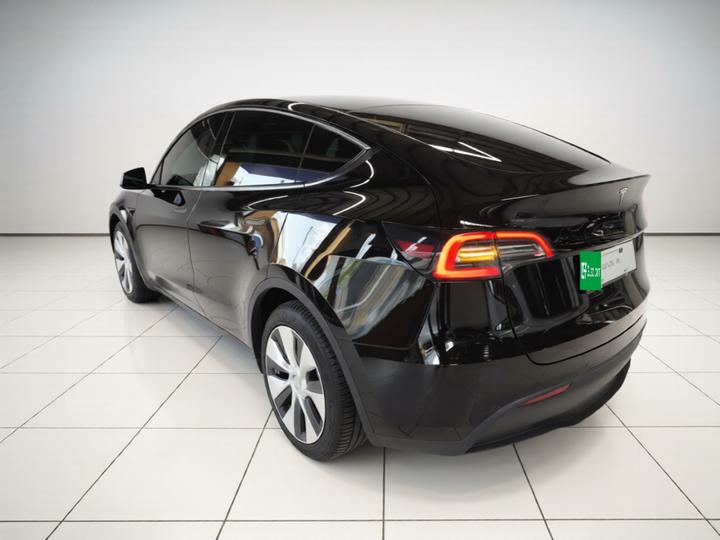 Model Y 2021 Long Range AWD photo 4