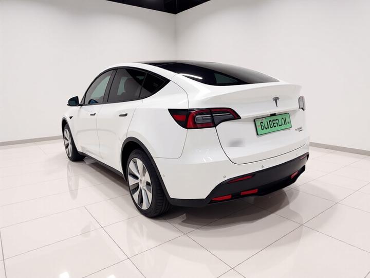 Model Y 2021 Long Range AWD 3D7 photo 4