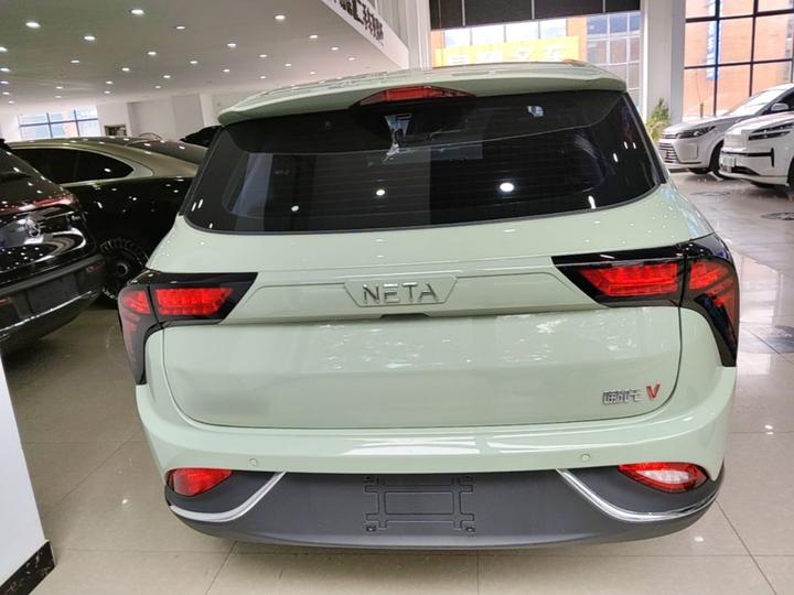 Neta V 2022 300 Lite LFP photo 5