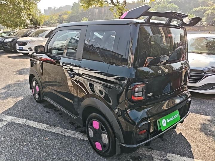 2025 210km Panda photo 4