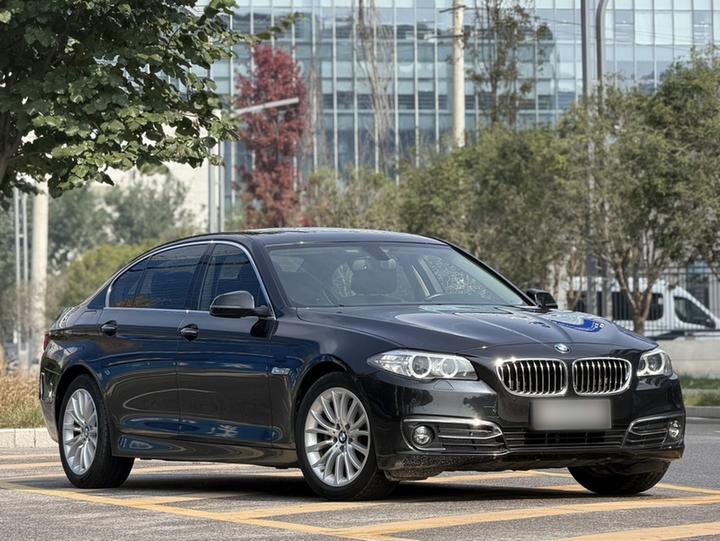 5 Series 2017 525Li Luxury Design Package photo 4