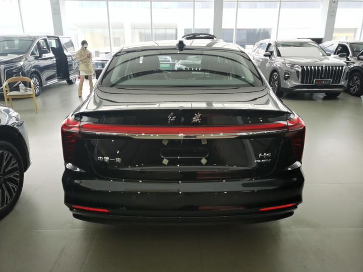 H5 PHEV 2025 130 photo 5
