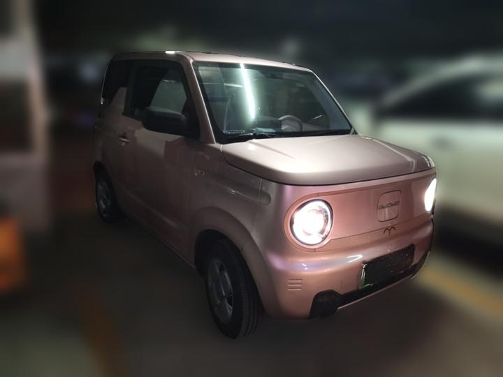 2023 Panda mini 200km Endurance Bear photo 3