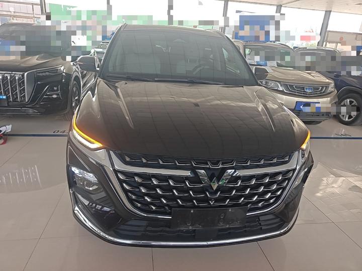Wuling 2023 2.0L DHT photo 2