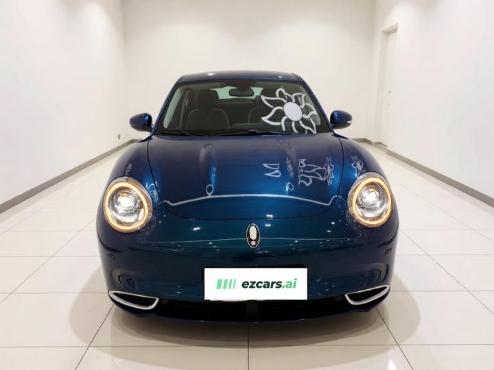 Good Cat 2023 401km Standard Range Premium NCM photo 2