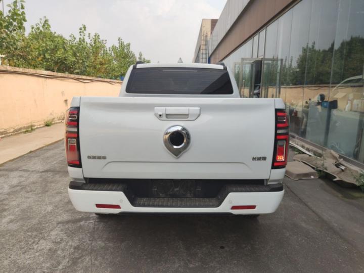 2023 2.0T AT Petrol AWD Sport GW4C20B photo 3