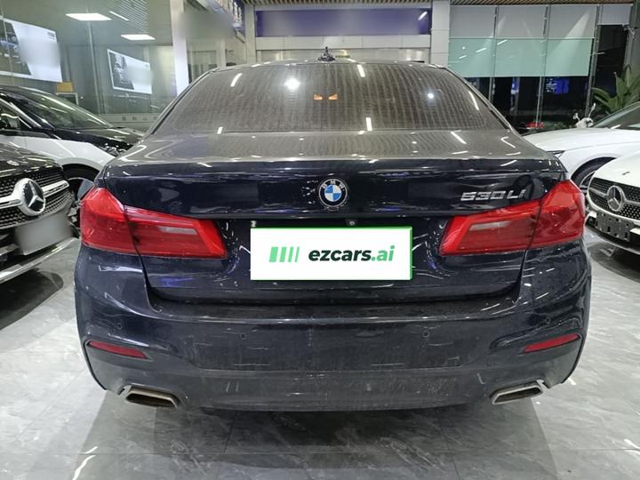5 Series 2018 530Li Leading M Sport Package photo 3