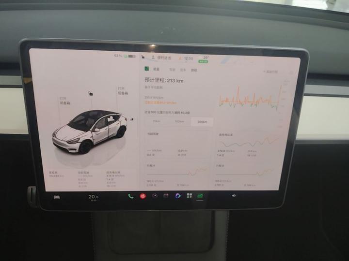 Model Y 2022 Performance AWD photo 4