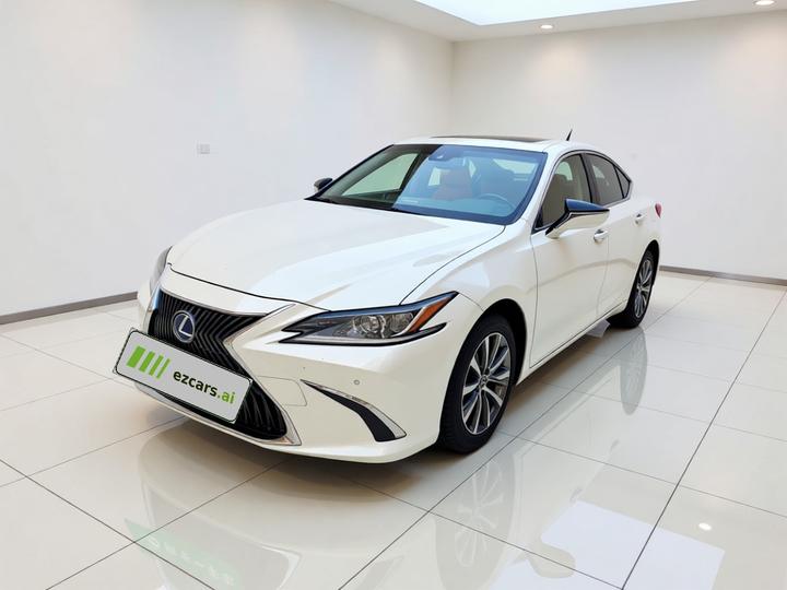 ES 2018 300h Excellence China V