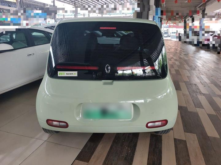 2022 Upgraded 305km Luxury NCM photo 3