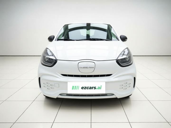Clever R 2021 302km 4-Seater photo 2