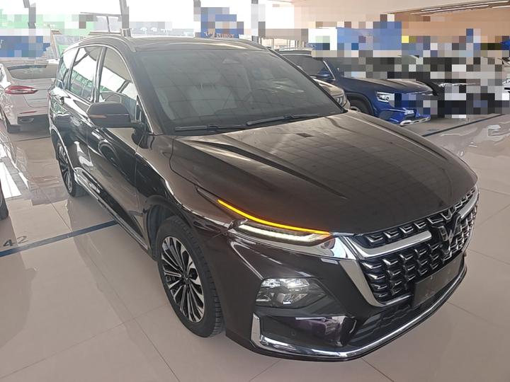 Wuling 2023 2.0L DHT photo 3
