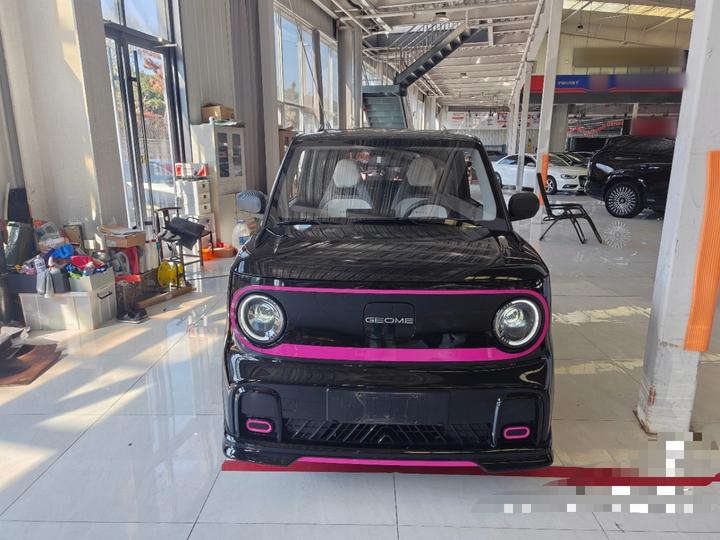 2025 210km Panda photo 2