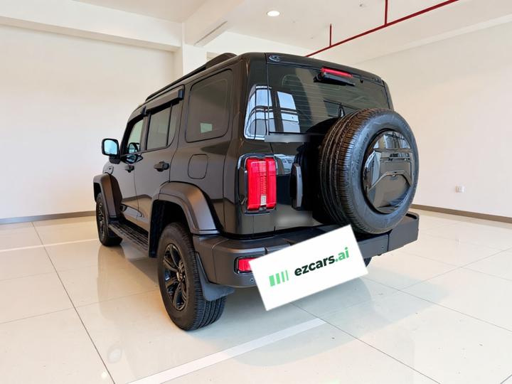 300 2021 Off-road 2.0T Conqueror photo 4