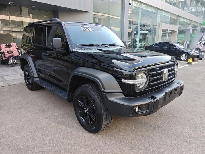 300 2021 Off-road 2.0T Conqueror photo 3