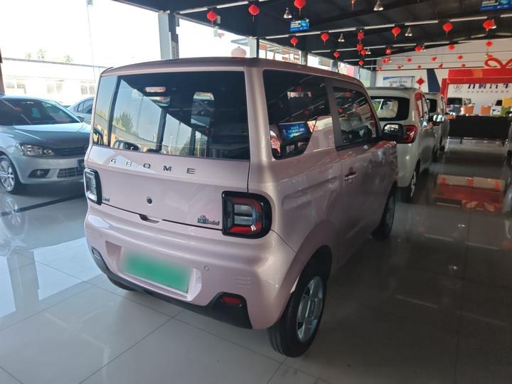 2024 Panda mini 200km Endurance Bear photo 4
