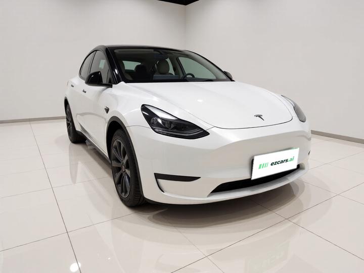 Model Y 2024 RWD photo 3