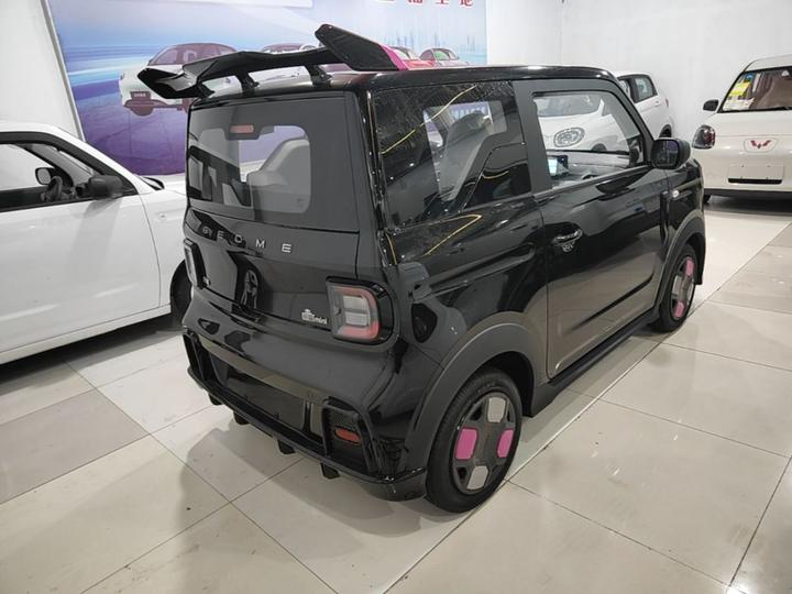 2025 210km Panda photo 4