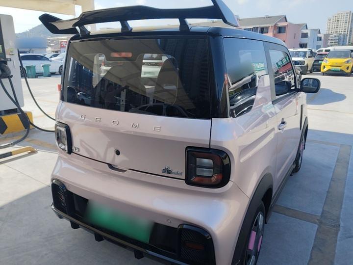 2025 210km Panda photo 6