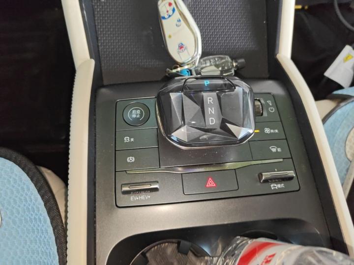 Qin L 2024 DM-i 80KM photo 5