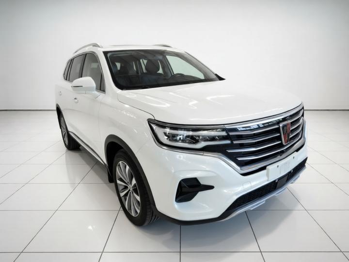 RX5 MAX 2019 400TGI AT 4G Luxury photo 3