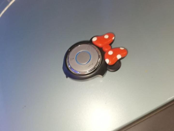 Neta V 2022 300 Lite LFP photo 8