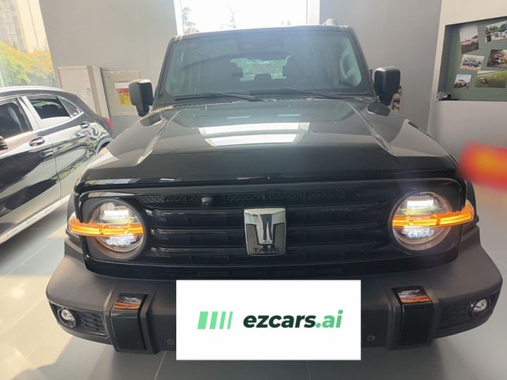300 2021 Off-road 2.0T Conqueror photo 2