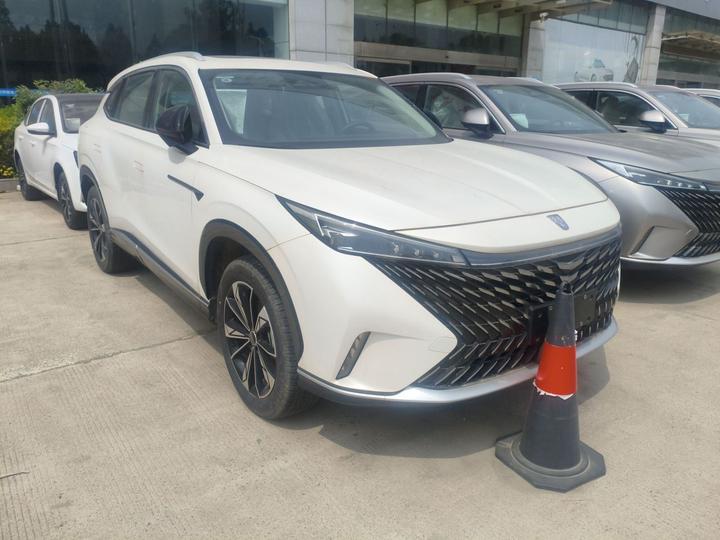 RX5 EV 2023 eRX5 photo 4
