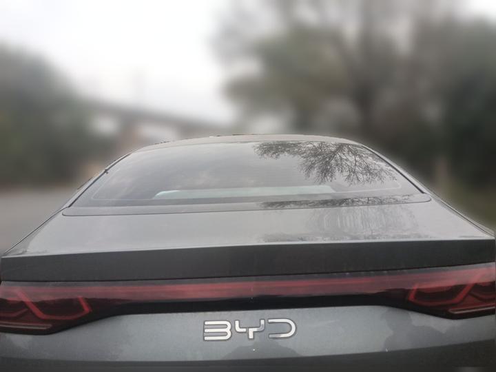 Qin L 2024 DM-i 80KM Leading photo 5