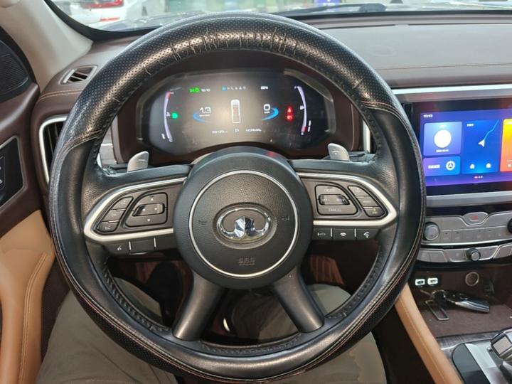 2021 2.0T AT Petrol AWD Exclusive GW4C20B photo 6