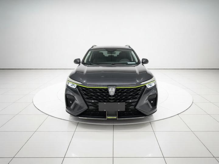 RX5 EV 2021 ePLUS Luxury photo 2