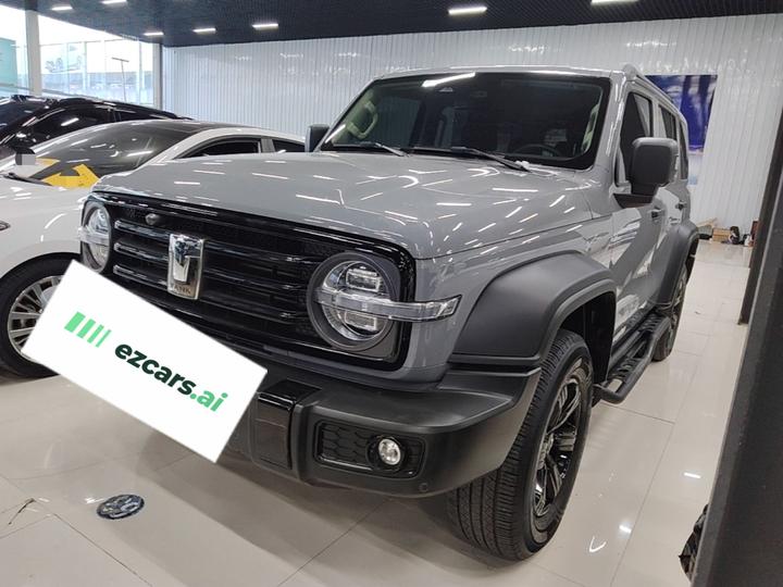 300 2021 Off-road 2.0T Conqueror