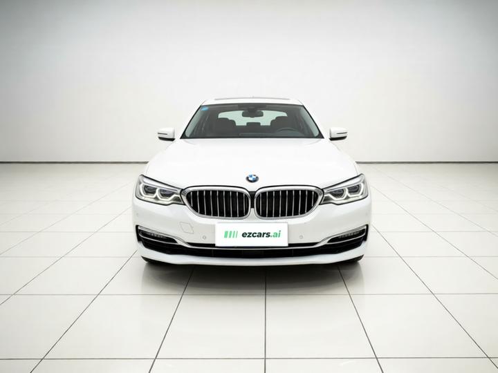 5 Series 2020 530Li Leading Luxury photo 2