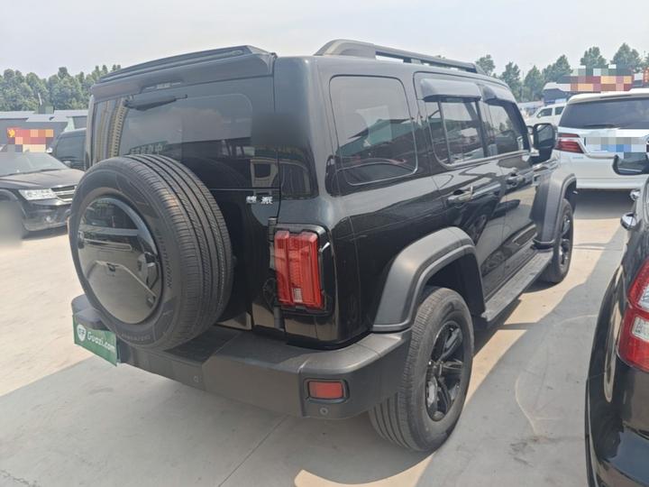 300 2021 Off-road 2.0T photo 4