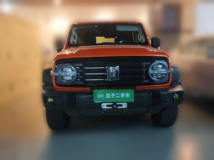 300 2021 Off-road 2.0T Conqueror photo 2