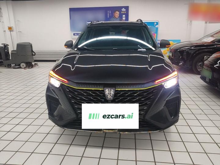 RX5 EV 2021 ePLUS Luxury photo 2