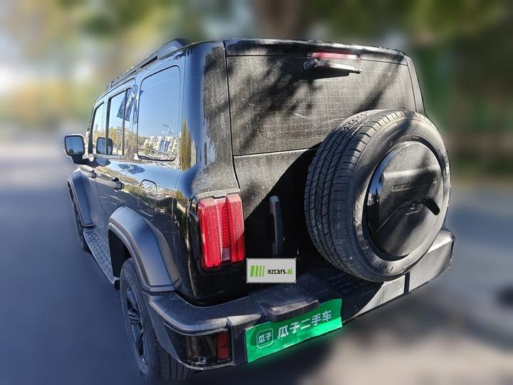 300 2023 Off-road 2.0T Conqueror photo 4