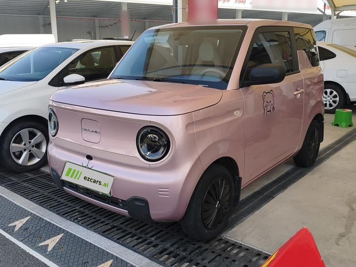 2023 Panda mini 200km Endurance Bear