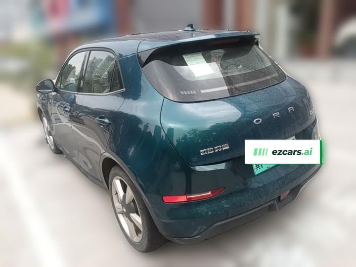 Good Cat 2021 400km Standard Range LFP photo 4