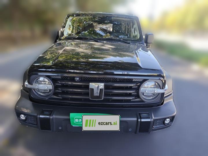 300 2023 Off-road 2.0T Conqueror photo 2