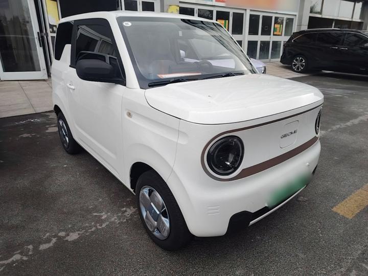 2023 Panda mini 200km Endurance Bear photo 3