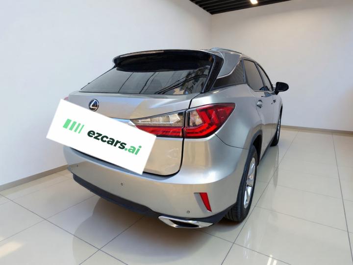 RX 2016 300 RWD Elite China V photo 4