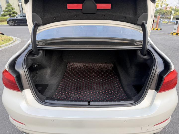 5 Series 2018 528Li Special photo 8