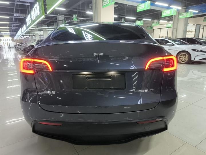 Model Y 2021 Long Range AWD photo 3
