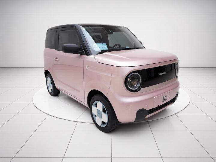 2023 Panda mini 200km Endurance Bear photo 3