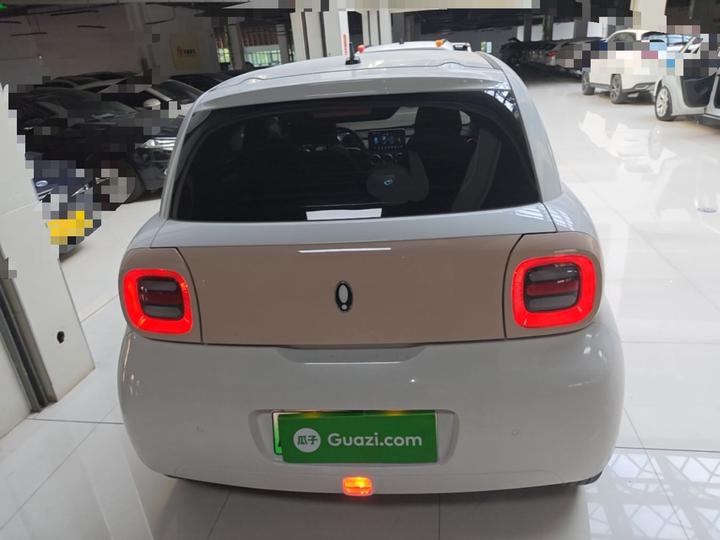 2022 Facelift 301km LFP photo 3
