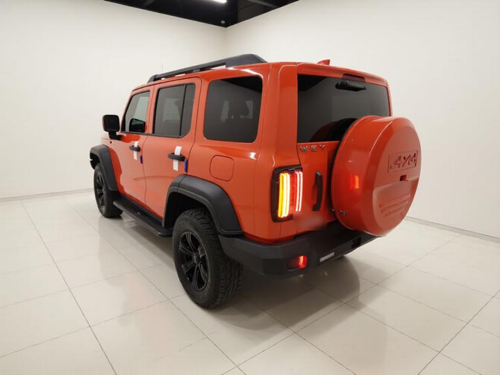 300 2021 Off-road 2.0T Conqueror photo 4