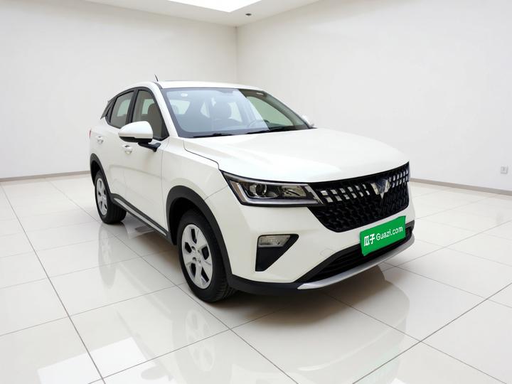 Wuling 2022 1.5L MT photo 3
